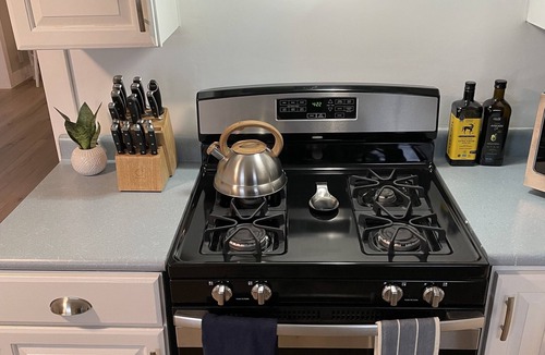 Oak Harbor Cottage | New: Romantic Winter Getaway w/Igloo