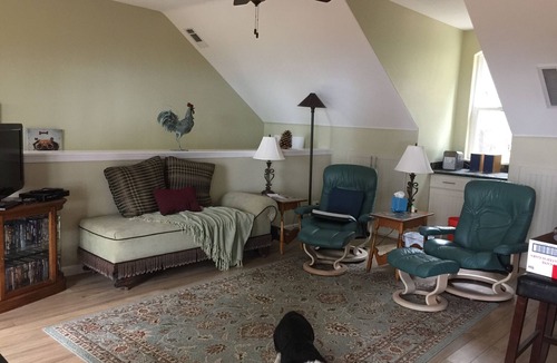 Patton Cabin | New secluded apt nestled among the tall pines in charming Running Springs