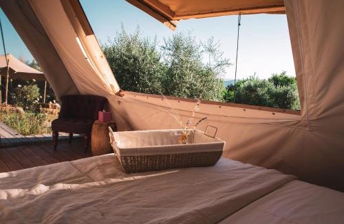 Montone Other | Palare