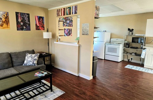 Rossford Apartment | Pop-Culture Paradise