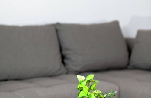 Kotroni Apartment | Premium Ορεινό Διαμέρισμα με Θέα · Η Βυσσινιά