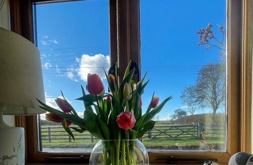 Cambridge Cottage | Pretty Farm Cottage in charming peaceful village
