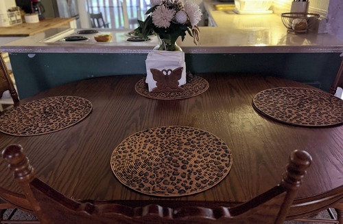 Salyer House | Private Pool Cabin in Nature Dogs Welcome Sleeps 5