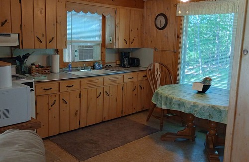 Spruce Cabin | Private Up North getaway - short walk to lake