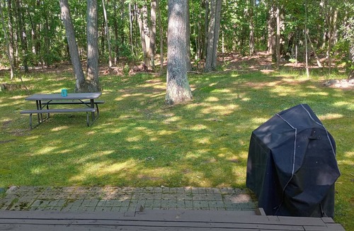 Spruce Cabin | Private Up North getaway - short walk to lake