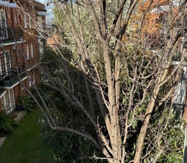 East Melbourne Apartment | Regents Gate East Melbourne