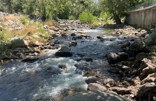 Three Rivers House | Riverfront with EV charger - Sequoia River Cottage