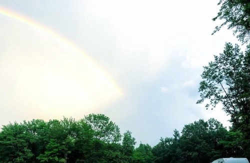 South Haven House | RV CAMP SITE on Forest Lake! (BYO camper, camper NOT included, no beds)