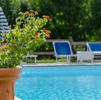 Villa Collemandina Apartment | Santa Lucia