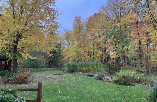 Little Suamico House | Secluded house on 7 wooded acres just 10 minutes north of Green Bay!