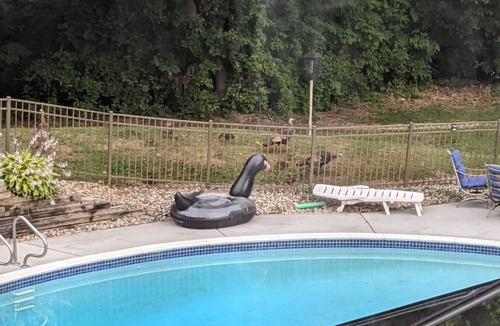 Allenton House | Secluded mother in law suite above garage with 2 private entrances.