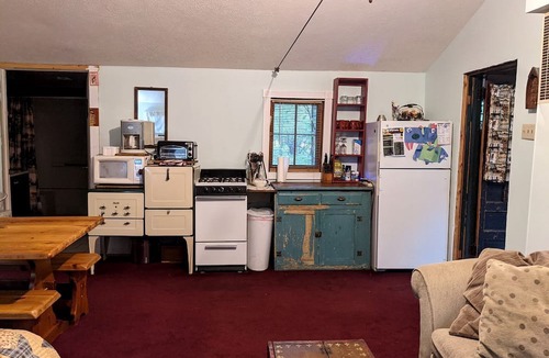 Dickson Township Cabin | Secluded Rustic Cabin Rental Inside Manistee National Forest in Brethren, Michigan