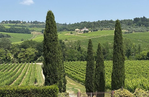 Montespertoli House | Small Tuscan villa in the heart of lush vineyards