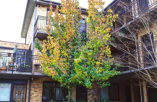 East Melbourne Apartment | Stylish Inner-City Apartment | Near MCG