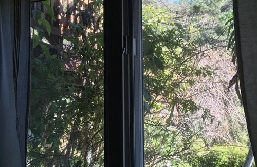 Mill Valley Apartment | Sun Drenched pool, Private, Peaceful Home, Nestled at the Base of Mt. Tam
