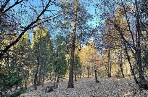 Sonora RV Rental | This campsite provides the ultimate outdoor experience!