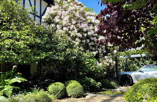 Toorak House | Toorak Tudor Family Home with modern kitchen and 1930's charm.