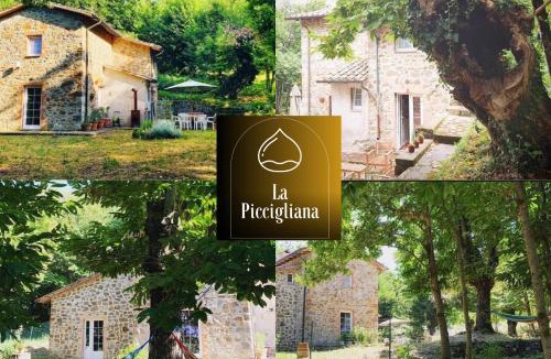 Arcidosso House | Toscaans vakantiehuis La Piccigliana - 6 personen