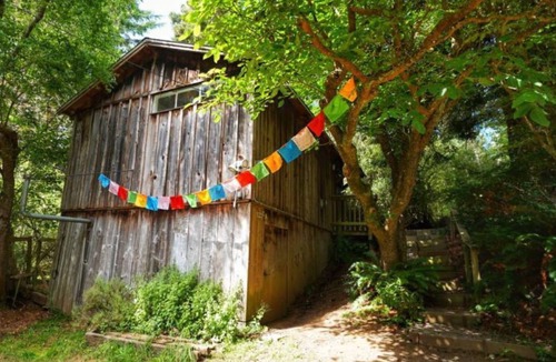 Arcata Cottage | Tranquil Redwood Hideaway with private patio and fast wifi