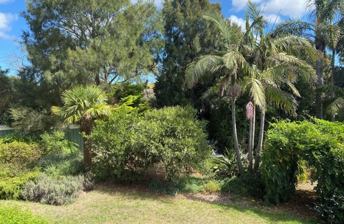 Capel Sound House | Tropical oasis/pet friendly. Golf, hot springs, beach nearby. Large games room.