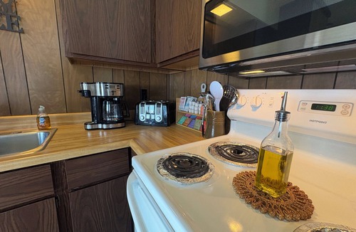 Bessemer Condo | U.P. Lodge by Trails & Superior w/Game Room, Grill & Firepit: Schnickelfritz #2