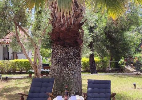 Gerakini Villa | Villa Βianca in Sithonia