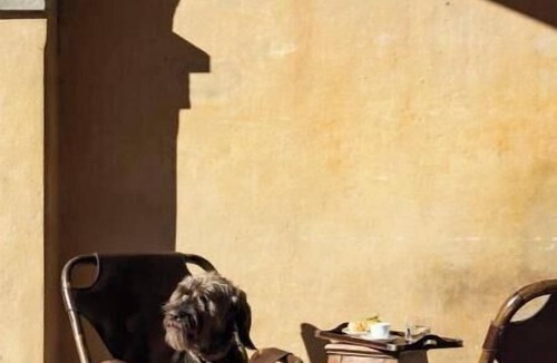 Calenzano House | Villa di Volmiano Ancient villa surrounded by nature, near Florence – Tuscany