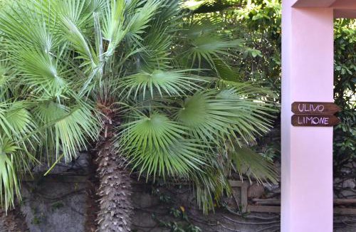 Portoferraio House | Villa Fiore Apartments