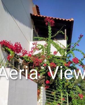 Aeria View