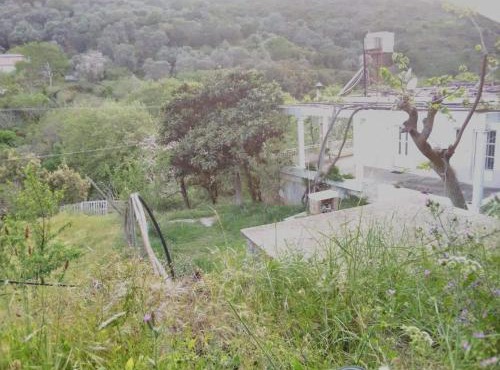 Angel Villa