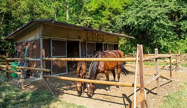 B&B in Valtrebbia