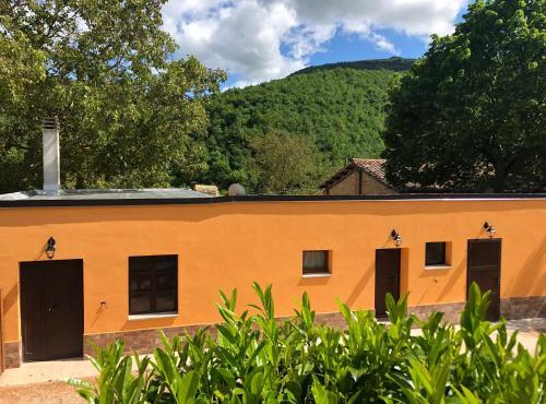 B&B Ollyfarm
