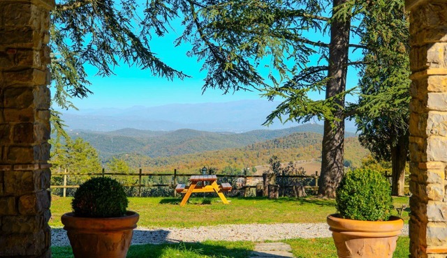 Beautiful private villa with A/C, WIFI, private pool, TV and pets allowed, close to Arezzo