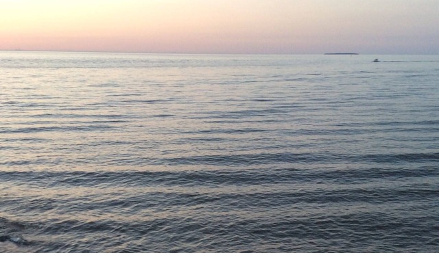 Beach View Retreat: Great for birders, ladies weekends, family vacation, Davis B