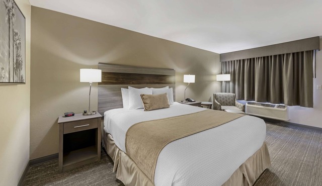 Best Western Plus Executive Inn