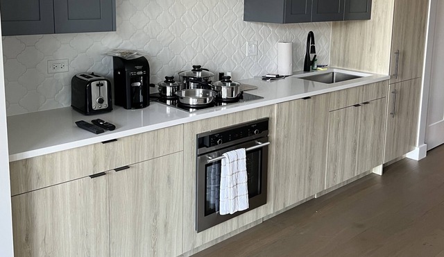 Brand New Modern Gold Coast Studio Steps away from the redline! HUGE Balcony!