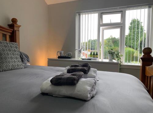 Bright and Cozy Private Room