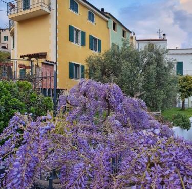Ca' di Buizan