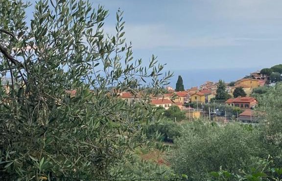Case giardino