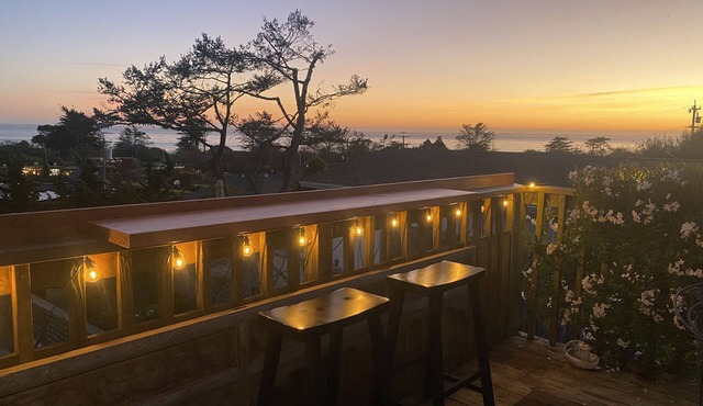 Charming 1-bedroom cottage in Stinson Beach - walk everywhere!