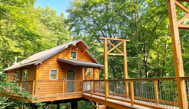 Charming Treehouse Getaway with Treetop Views