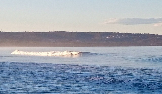 Coast and Country Getaway - peaceful and lush and only 10 minutes from the beach