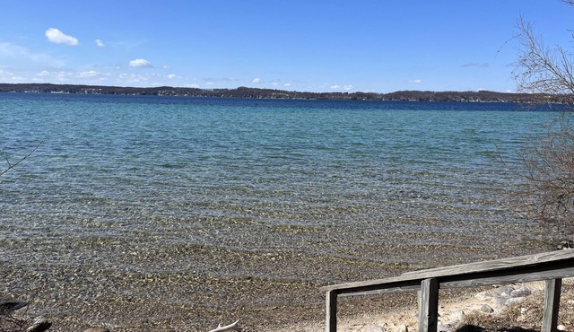Cozy cottage 100 feet from beautiful Torch Lake.