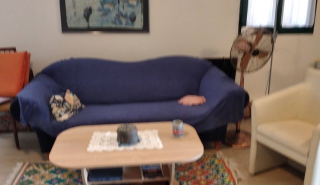 Cozy studio apartment in the middle of a large garden. Have dogs.