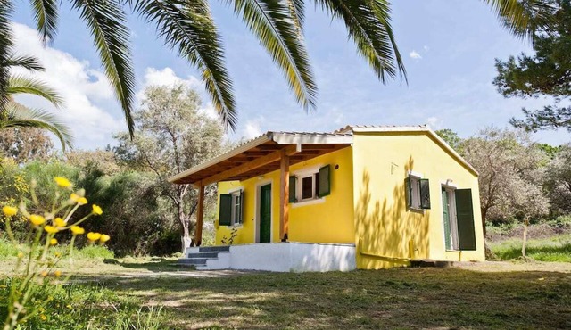 Cute yellow Handmade House with tree garden