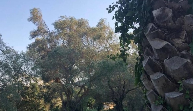 Dimoulitsa Villas Complex
