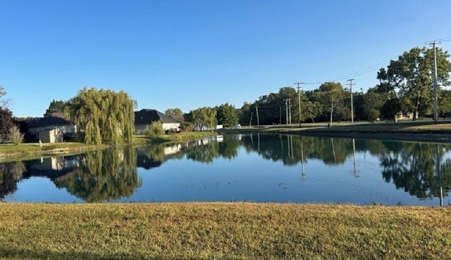 Duck Pond View