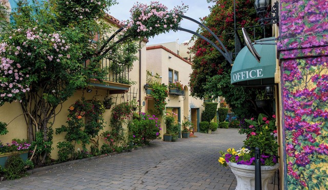 Experience a Tranquil Oasis at Marina Motel -San Francisco's Best Kept Secret!