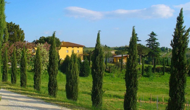 Farmhouse in Vinci near Leonardo Museum