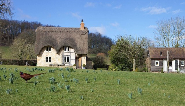 Field Cottage is a picture-book thatched cottage with many period features